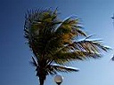 Mexico2005 271.jpg
